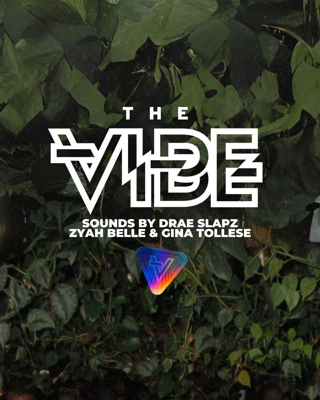 The Vibe | May 18th